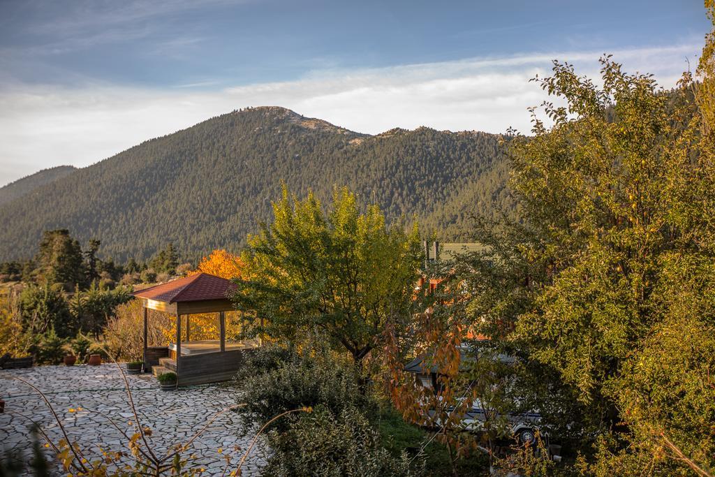 Boutique Hotel Skamnos 아라초바 외부 사진